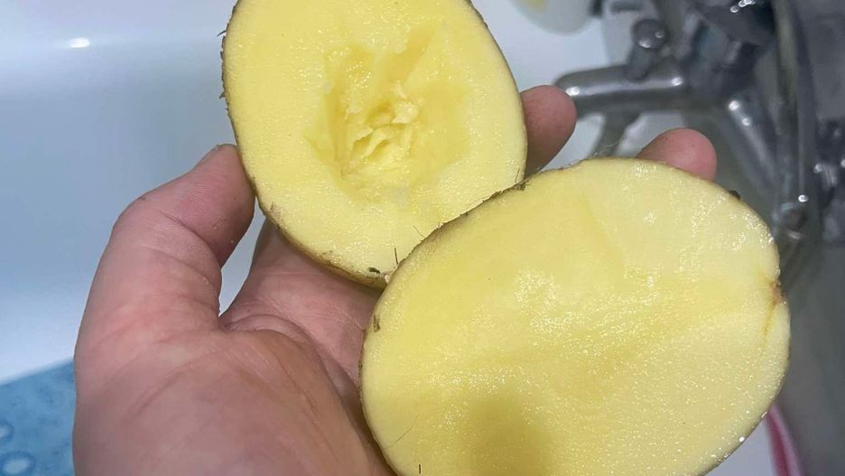 Wystarczy zwykły ziemniak, by pozbyć się uciążliwego problemu. Wszechstronność bulwy zaskakuje