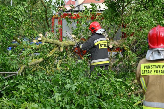 Niedzielna burza w Szczecinie