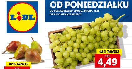 Lidl najnowsza gazetka od poniedziałku 29 sierpnia. Promocje w Lidlu 29.08-31.08