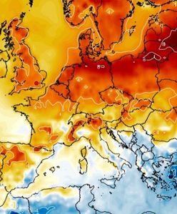 Totalna zmiana pogody. Silne ocieplenie. Kiedy wróci zima?