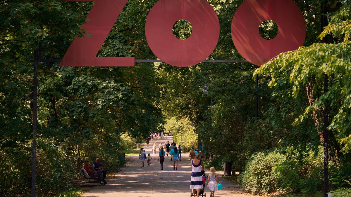 Warszawskie zoo tłumaczy się z transferu zwierząt