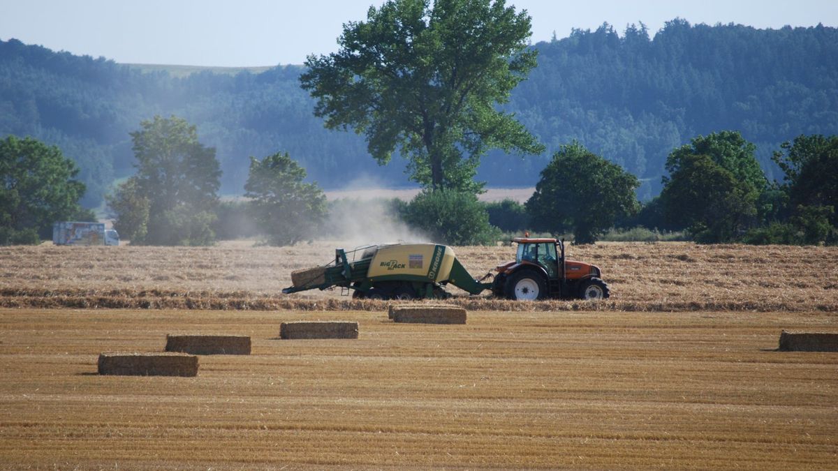 Na zdjęciu traktor na polu