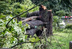 Trąba powietrzna w Koniecpolu. "Prawdziwy kataklizm"