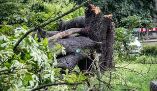 Trąba powietrzna w Koniecpolu. "Prawdziwy kataklizm"
