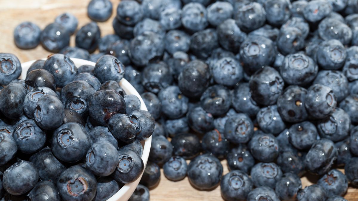 Niestety, borówki amerykańskie nie są wskazane dla wszystkich