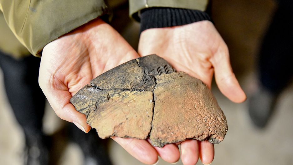 archeologiczne znaleziska sensacją w Gdańsku