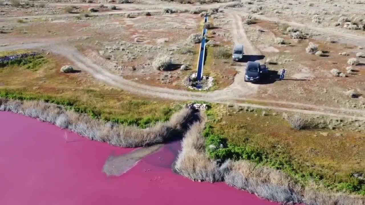 Różowe jezioro w Argentynie. Powstało w wyniku zanieczyszczenia środowiska.