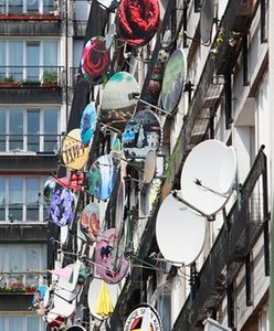 Niecodzienna wystawa