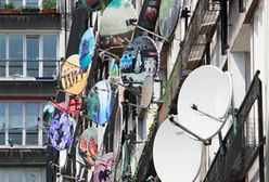 Niecodzienna wystawa