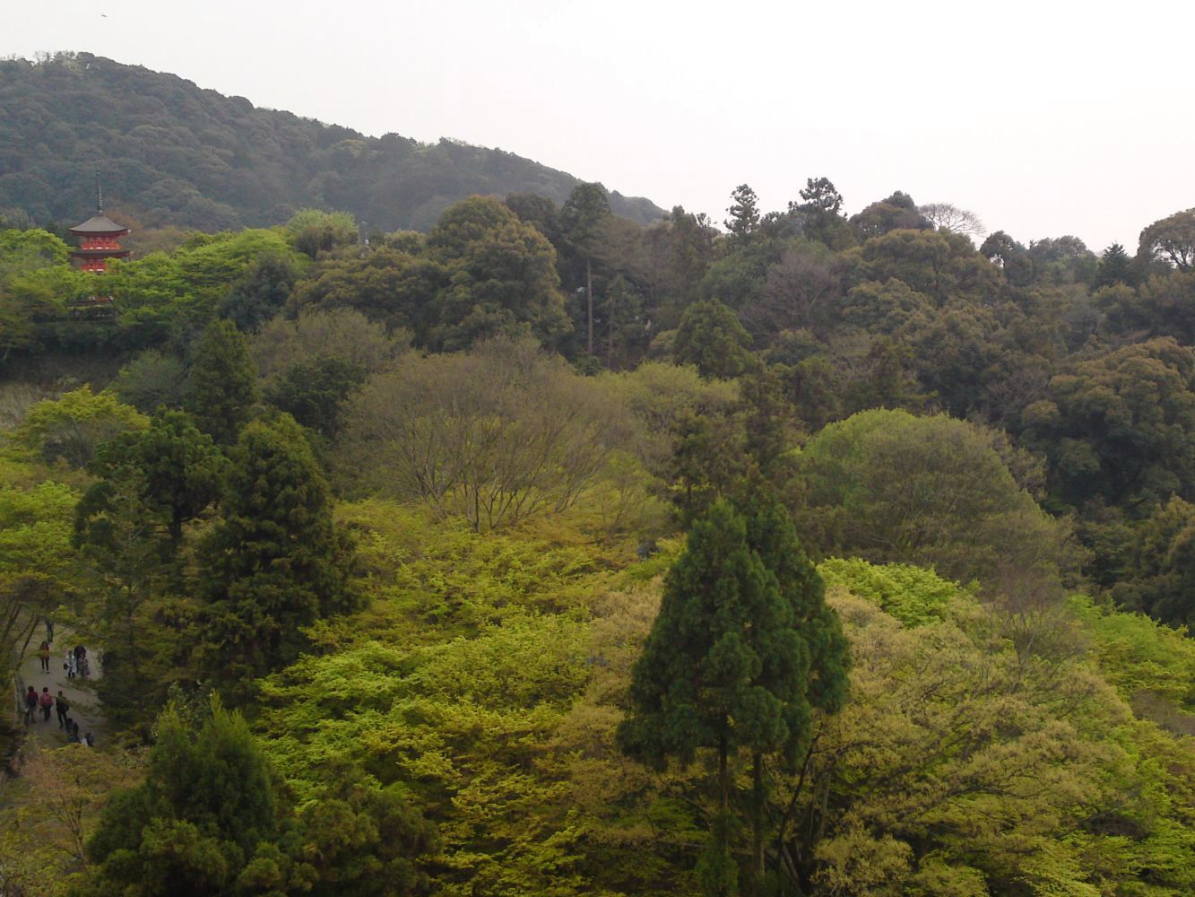 Xperia Z1 Compact vs stare sony ericssony - zaskakujące wyniki fotoporównania 11