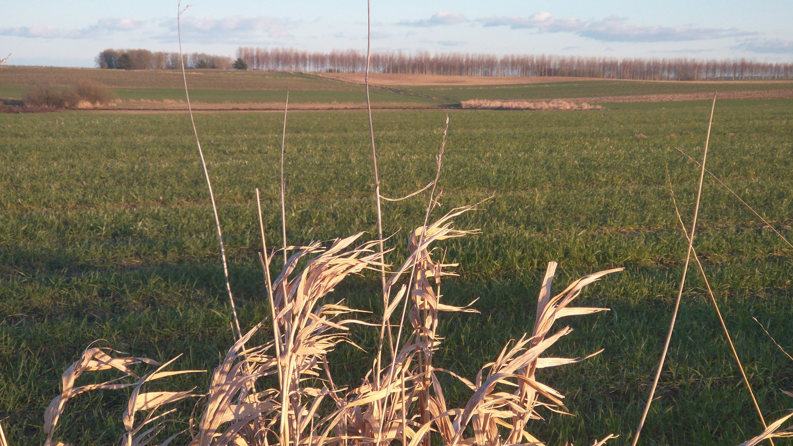 Motorola Moto G8 Power: test telefonu z dużą baterią za 1000 zł 40