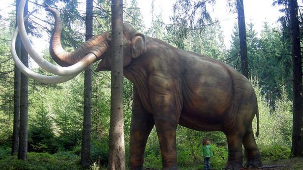 Mamuty powrócą już za pięć lat? 1