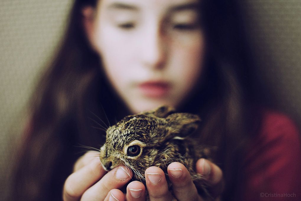 Piękne portrety inspirowane naturą i światłem 8
