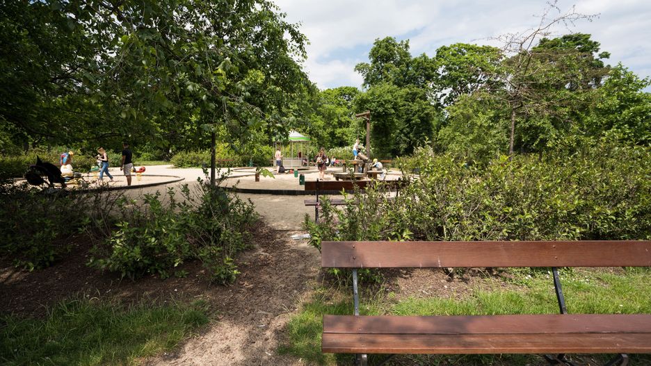 ławka park ławeczka staw wiosna zieleń
