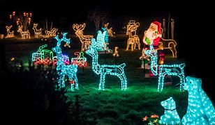 Polacy pokochali świąteczne iluminacje, ale czasami zapominają o… sąsiadach