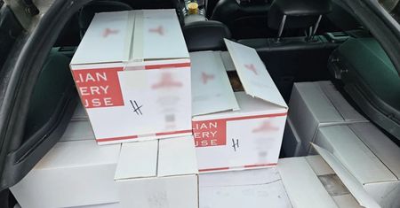 Celnicy aż przecierali oczy. Niebywałe, co było w kartonach