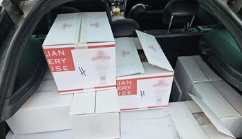 Celnicy aż przecierali oczy. Niebywałe, co było w kartonach