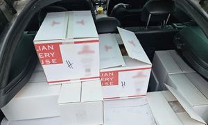 Celnicy aż przecierali oczy. Niebywałe, co było w kartonach