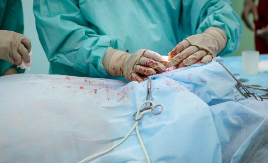 Chirurdzy przeszczepili 58-letniemu mężczyźnie serce pobrane od zmodyfikowanej genetycznie świni