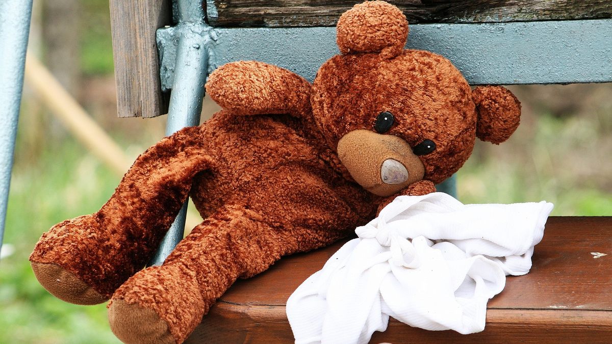 Miś przeprasza, miś był nieposłuszny i chciał rewolty