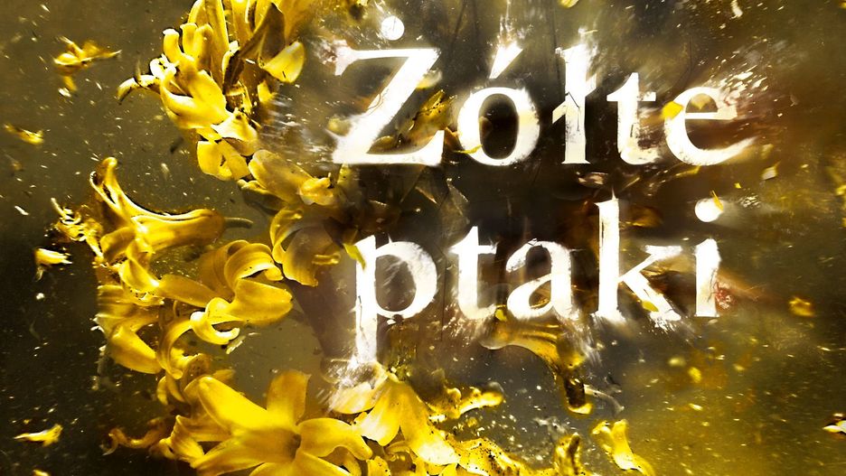Obraz