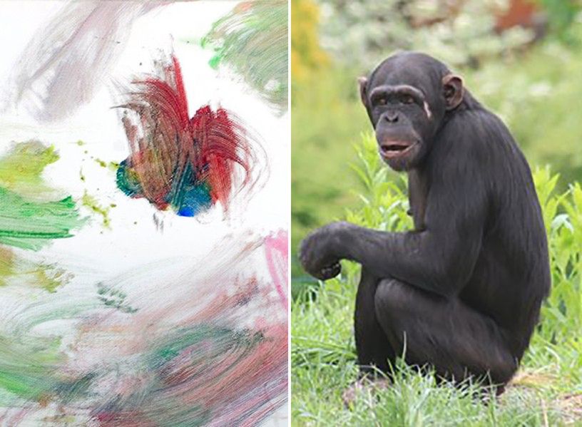 ZOO zlicytuje prace namalowane przez... szympansicę