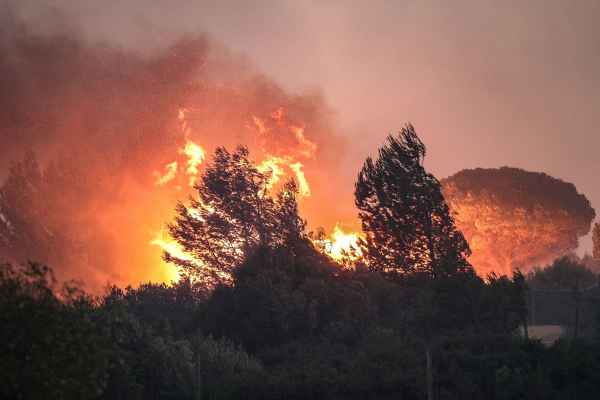 Chorwacja. Pożary lasów zbliżyły się do Dubrownika na odległość 12 km