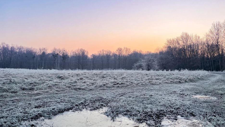 Wrocław. Pogoda. 4 stycznia 2021 - poniedziałek z deszczem. Od wtorku opady śniegu