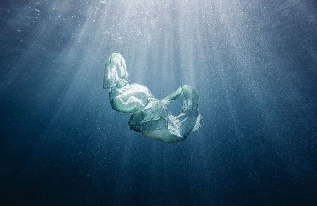 Natura na zdjęciach zwycięzców konkursu The Nature Conservancy Photo Contest 2018 9