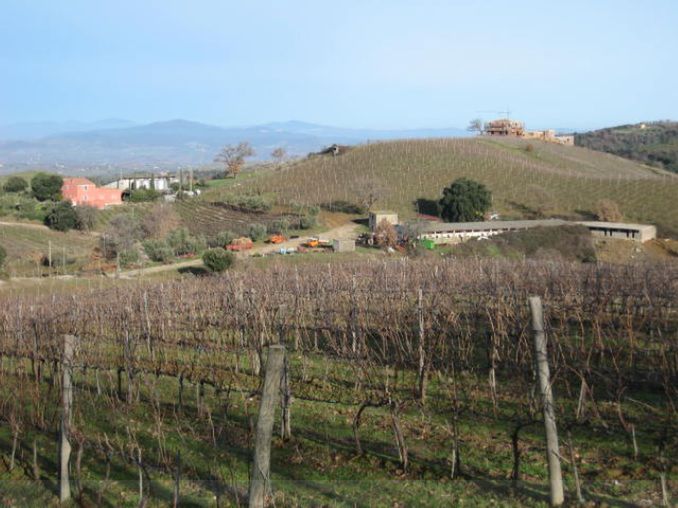 Wille w Toskanii gwoździem do trumny najstarszego banku świata. Nabywcy mile widziani