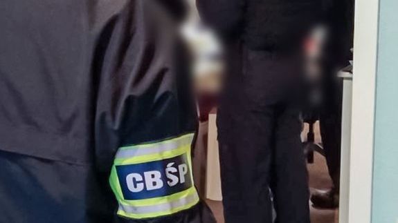 policja