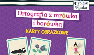 Karty obrazkowe Ortografia z mrówką i borówką (6-9 lat)