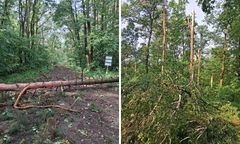 Jak po przejściu armagedonu. Wprowadzili zakaz po burzy