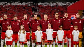 871 mln euro. Holendrzy biją na głowę Polaków