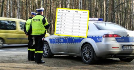 Zatrważający wynik. Policja podała dane. Polacy wciąż to robią