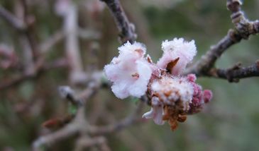 Alert IMGW. Cała Polska w żółtej strefie