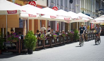 Majówka. Otworzą ogródki? Rzecznik rządu komentuje