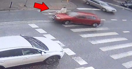 Piesza była bez szans. Groźny moment na pasach w Garwolinie