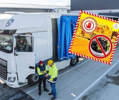 Transport owoców z Ukrainy zatrzymany. Służby wstrzymały oddech