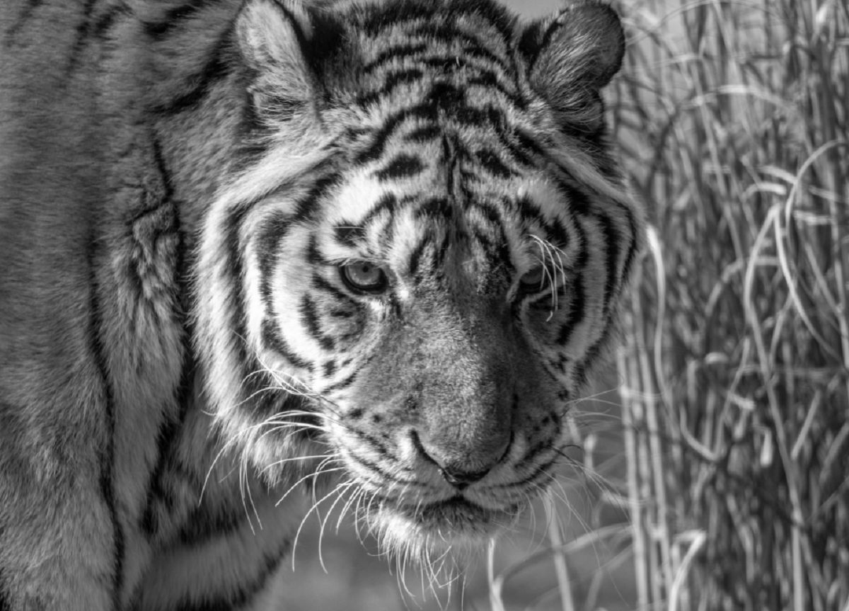 Smutne wieści napłynęły nocą. "Zakończyła się era"