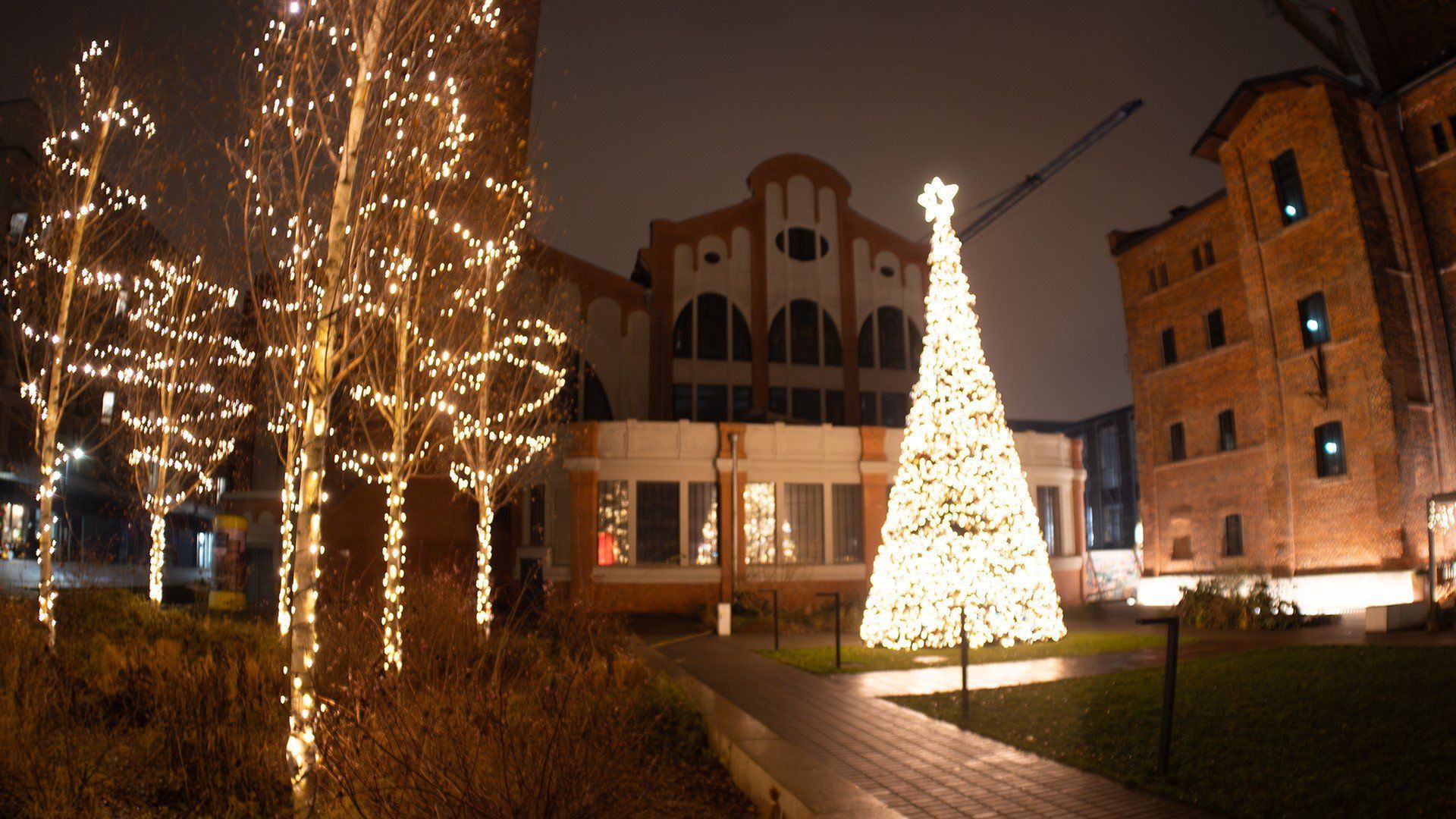 Świąteczna Fuzja robi wrażenie