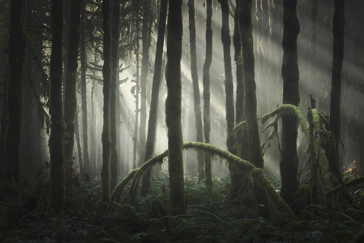 101 najpiękniejszych krajobrazów z całego świata w jednym albumie 2