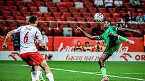 Polska - Nigeria 2:2 (galeria)