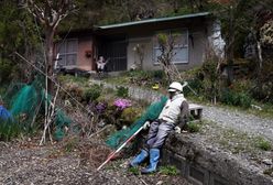 Japonia rozdaje domy. Specjalista przegna ducha, a rząd pomoże z remontem