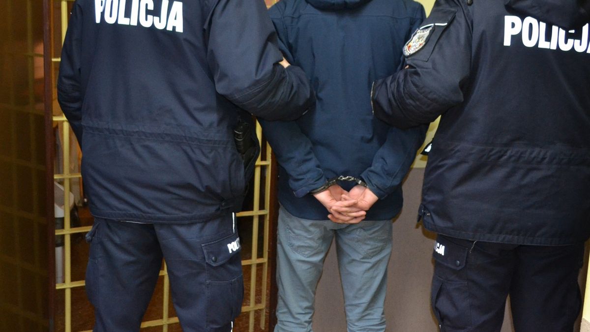 Małopolska: areszt dla 18-latka. Policja: groził bliskim nożem i siekierą