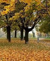 41. Festiwal „Warszawska Jesień Poezji”