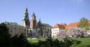 Teksty Miłosza w krakowskich kawiarniach