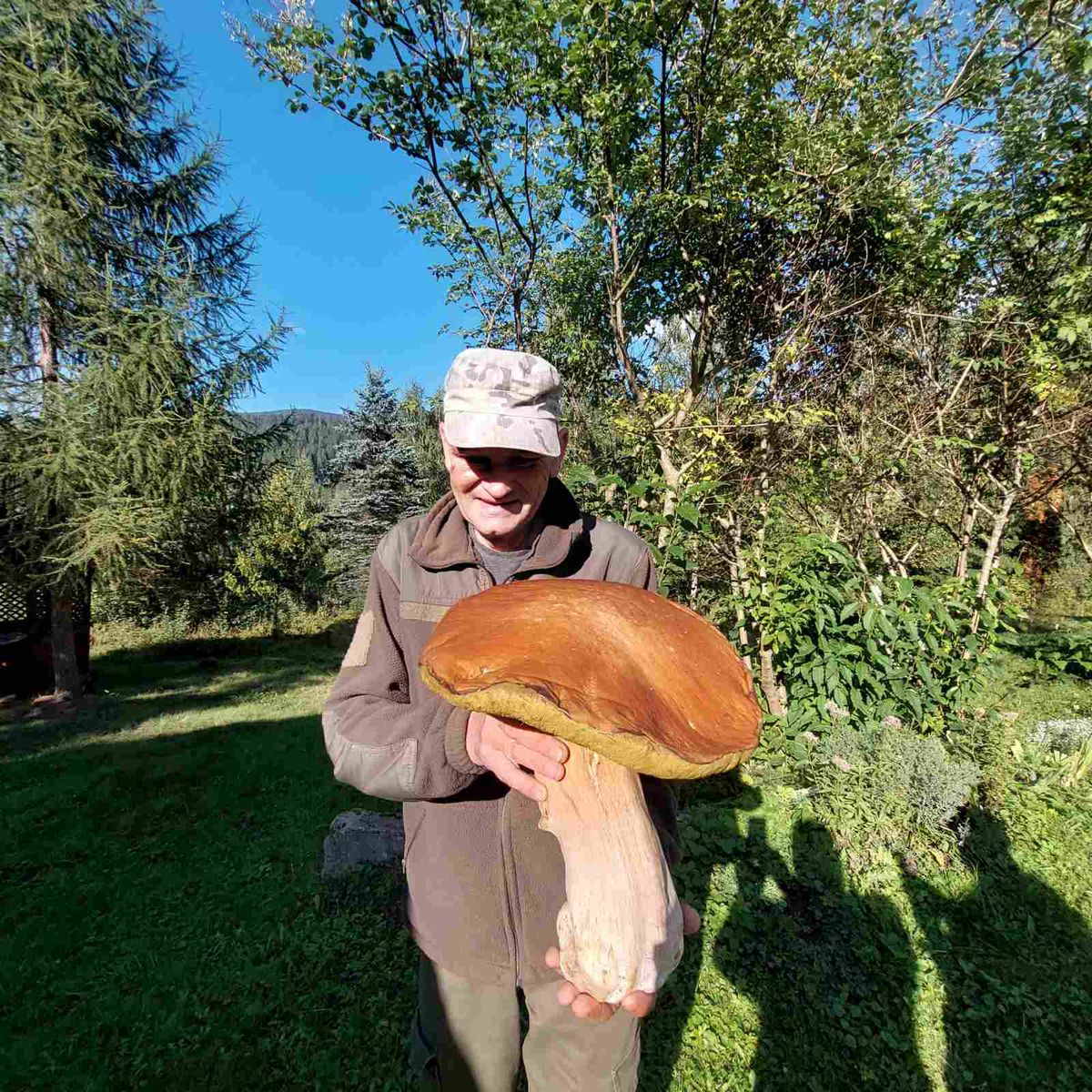 Borowik znaleziony w Karpackim Parku Narodowym ważył 3 kg