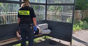 Leżał na przystanku i prosił przechodniów o wezwanie karetki. Nikt nie zareagował
