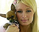 Pupile Paris Hilton